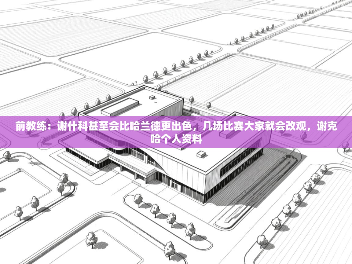 前教练：谢什科甚至会比哈兰德更出色，几场比赛大家就会改观，谢克哈个人资料