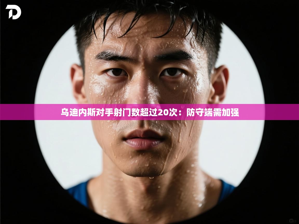 乌迪内斯对手射门数超过20次:防守端需加强 第1张