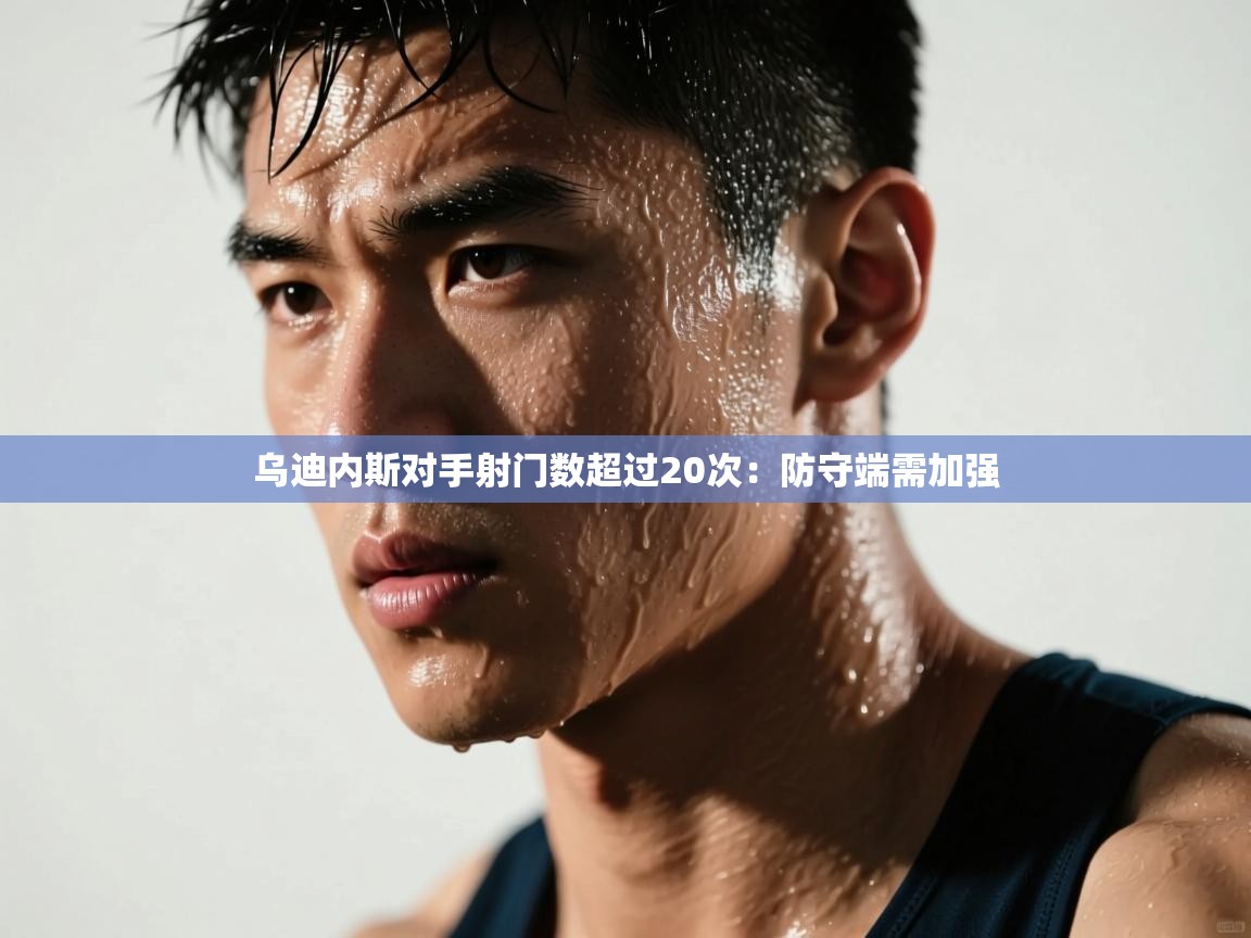 乌迪内斯对手射门数超过20次:防守端需加强 第2张