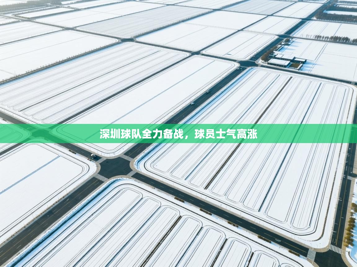 深圳球队全力备战,球员士气高涨 第2张